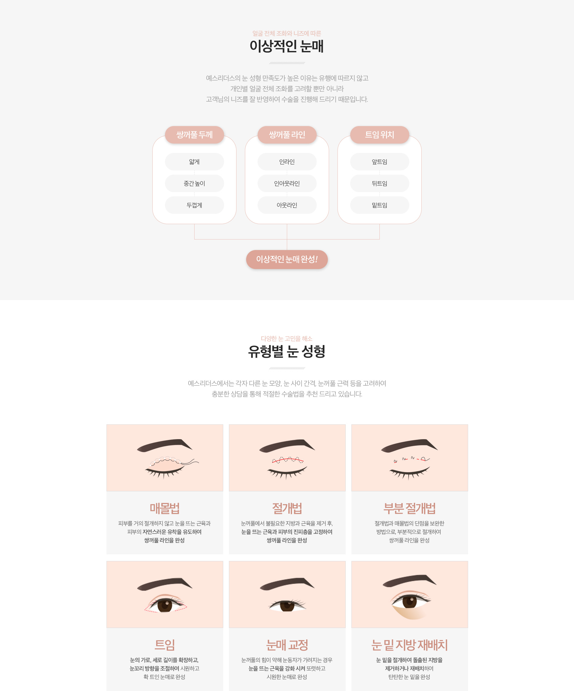 눈성형