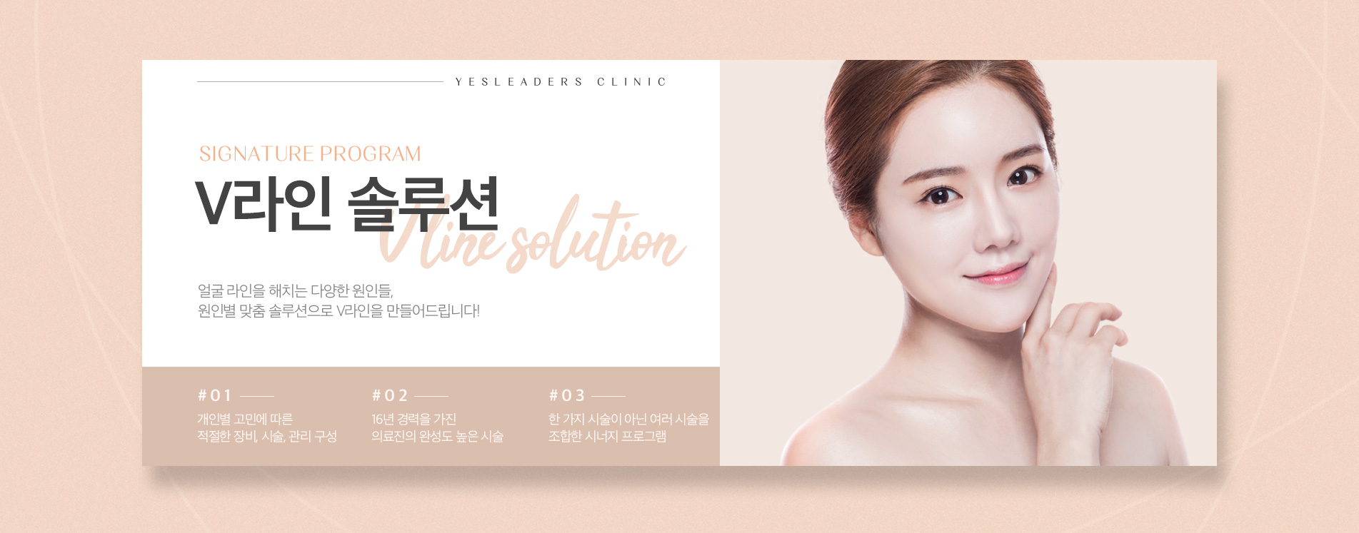 v라인 솔루션 서브탑