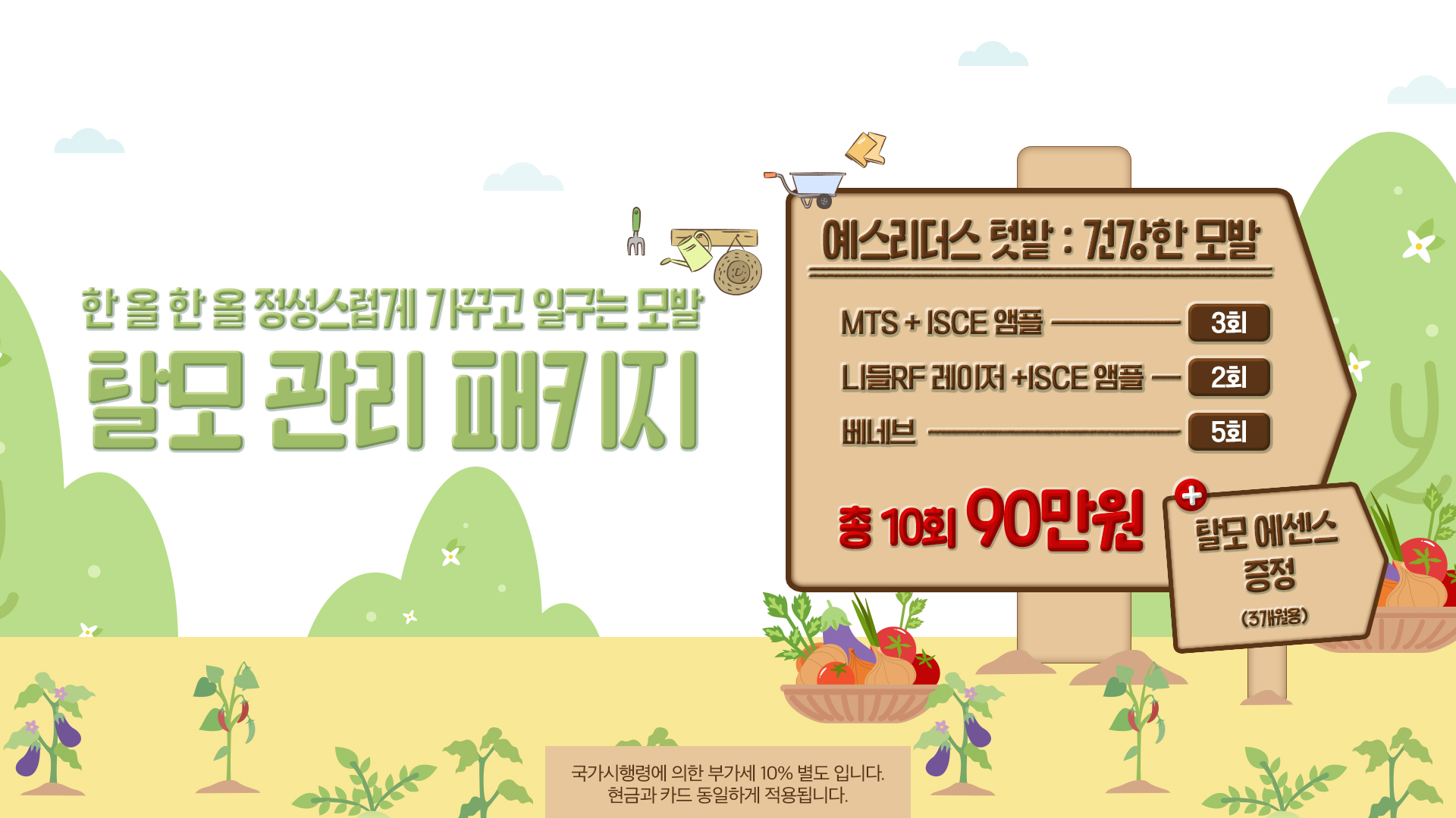 탈모 관리 패키지