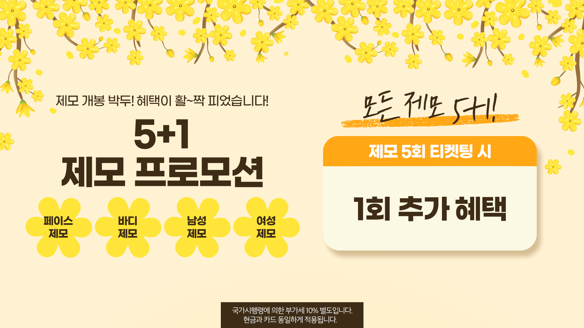 5+1 제모